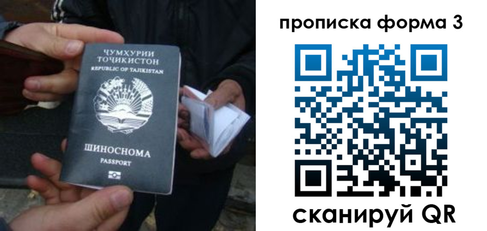прописка 2025 в Грязях